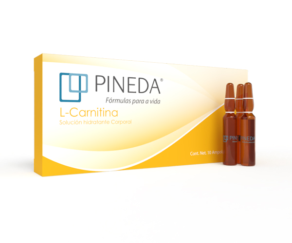 l carnitina l carnitina